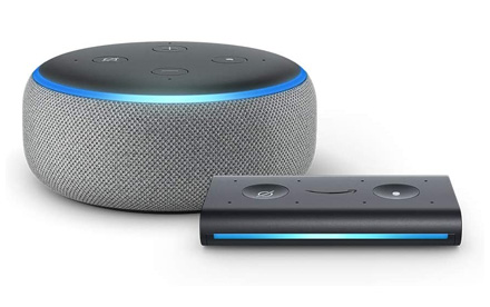 Echo Dot (3.a generación) Heather Grey con Echo Auto